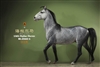 Hailar Horse - Version 5 - Mr. Z 1/6 Scale Model