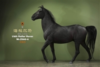 Hailar Horse - Version 6 - Mr. Z 1/6 Scale Model