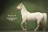 Hailar Horse - Version 7 - Mr. Z 1/6 Scale Model