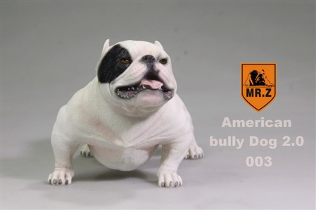 American Bully Dog 2.0 - Version 003 - Mr Z 1/6 Scale Accessory