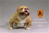 American Bully Dog 2.0 - Version 004 - Mr Z 1/6 Scale Accessory