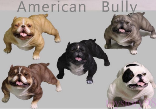 American Bully Dog 2.0 005 (Grey) 1/6 Scale Figure