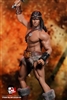 Barbarian - Mr. Toys 1/12 Scale Accessory Set