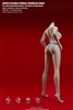 Female Super-Flexible Seamless Bodies - Pale Version WITHOUT Head- TB League 1/6 Female Body