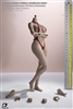 Large Bust Seamless Body No Head - Suntan with Detachable Foot Version - TBLeague Phicen 1/6 Scale Figure Body