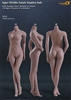 Super-Flexible Female Seamless Body S02A Middle-Suntan - Phicen 1/6 Scale