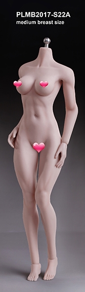 Phicen Super-Flexible Seamless Female Body - Medium Bust - Pale Skin PL-MB2017-S22A