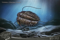 Trilobites Miniature Frame - Normal Version - Star Ace Miniature Frame