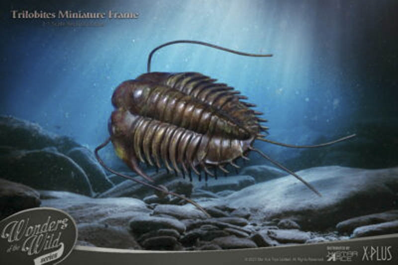 Trilobites Miniature Frame - Normal Version - Star Ace Miniature Frame