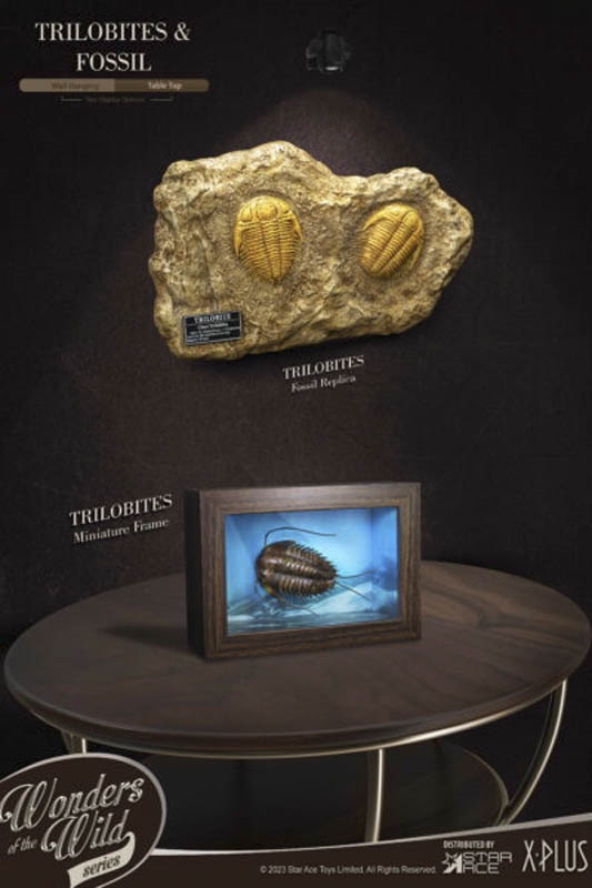 Trilobites Miniature Frame & Fossil - Deluxe Version - Star Ace Miniature Frame