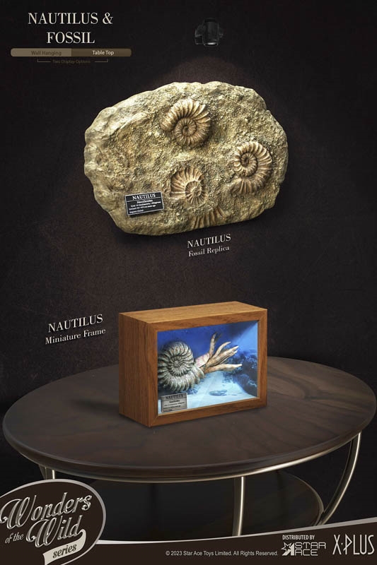 Nautilus Miniature Frame & Fossil - Deluxe Version - Star Ace Miniature Frame