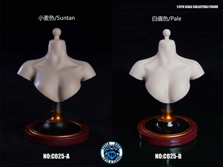 Female Bust Stand - Superduck 1/6 Scale Accessory