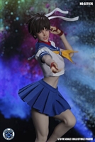Fighting Girl - Superduck 1/6 Scale Accessory Set