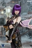 Kunoichi - Super Duck 1/6 Scale Accessory Set