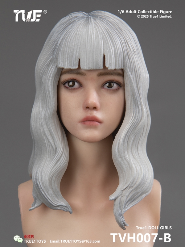 Nini Resin MovableEyes Head Sculpt Long Gray Hair Version -  True 1 Toys 1/6 Scale Accessory