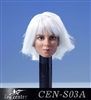 Female Head with White Hair - Toys Center 1/6 Scale Figure