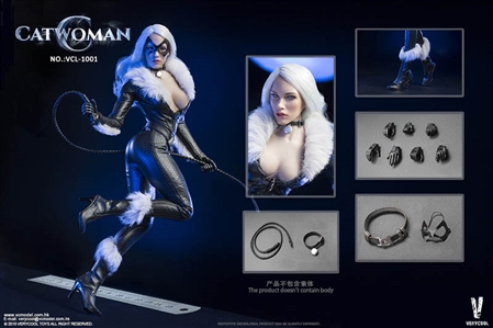 Cat Accessory Set - Very Cool 1/6 Scale Accessory