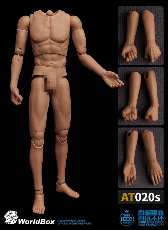 One-Piece Forearm Body - World Box 1/6 Scale Durable Body