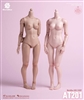 Girl Body 26CM - Two Versions - World Box 1/6 Scale Figure