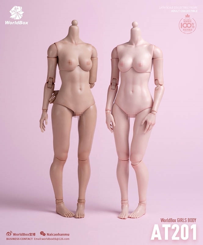 Girl Body 26CM - Two Versions - World Box 1/6 Scale Figure