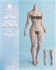 Durable Girl Body Version A in Pale Tone - Worldbox 1/6 Scale Figure