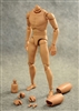 Narrow Shouldered Action Figure Body - ZY Toys 1/6 Scale