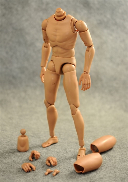 ZYTOYS 12'' Scale Male Body  Nude Muscular Body for 1/6 Action Figure No Head 